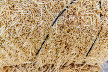 Detail of knotted dry straw.