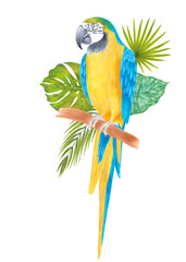 Watercolor parrot macaw sitting on a branch with tropical leaves