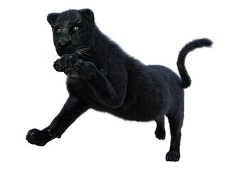 3D Rendering Black Panther on White