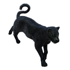3D Rendering Black Panther on White