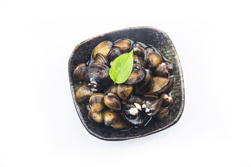 A plate of fresh Corbicula fluminea