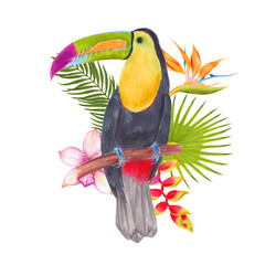 Watercolor marker tropical toucan bird with orchid flowers, strelitzia flower, heliconia, areca palm, fan palm. Colorful tropic background print isolated on white. © Kamila