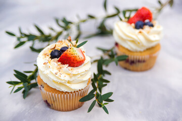 Tasty cupcakes decorated with cream cheese, blueberry and strawberry. Fruit cupcakes on modern concrete background.