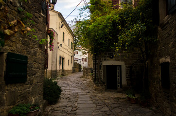 Fototapeta na wymiar La vecchia cittadina di Grisignana lungo la Parenzana in Istria