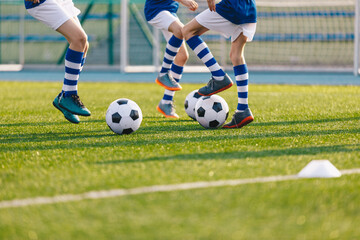 Children with soccer balls on school training field