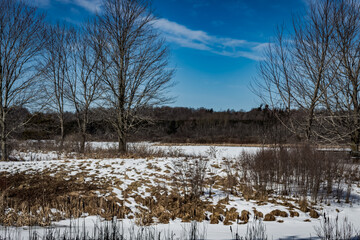 Colour nature landscape photograph taken at the Cataraqui Conservation area in the late winter/early spring in Kingston, Ontario Canada.