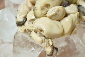 fresh oyster topping ice cube in bowl on table