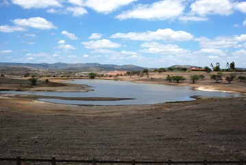 Criação de gado em região seca as margens da BR232 em Caruaru-PE