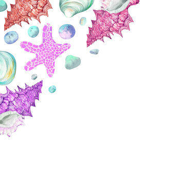 Watercolor set of sea shells, corals and starfish and sea stones background. Hand drawn. 
