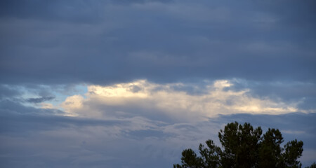 Obraz premium Dramatic storm clouds forming just before a rain.Rain clouds forming during the monsoon season. .Storm clouds behind a pine tree