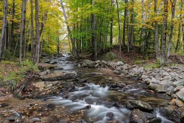 Kent Brook in Autumn