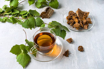 Trendy healthy coffee with chaga mushrooms. Dry mushrooms and birch branches on a gray stone background. Copy space ,. Light gray stone background