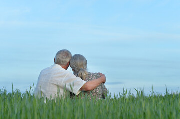 Naklejka na ściany i meble Back view. Portrait of happy elderly couple resting