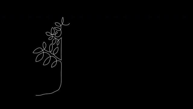 Self drawing single line animation of green tree. Copy space. Black background. Continuous line art and painting animation. 