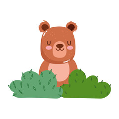 cute animal adorable wild character little bear grass cartoon