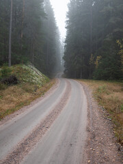 road in the fog