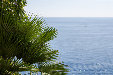Adriatic sea view
