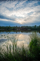 Summer sunset on the river, beautiful scenery