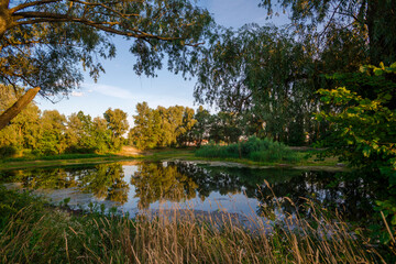 Wild lake in the country, beautiful rural scenery 