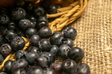 Blueberries in a wicker basket and blueberries scattered on a background of homespun fabric with a rough texture. Close up.