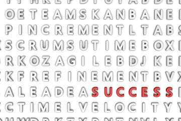 3d rendering of random letters and different words on a white wall. "SUCCESS" text is different and special than the others.