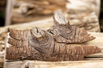 Closeup of wooden logs with dried and weathered textured bark surface.