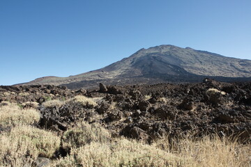 Teide National Park, Gran Canaria/Spain; Oct. 2011. Volcanic landscape of the national park