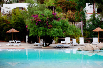 bordo piscina con sdraio e vegetazione