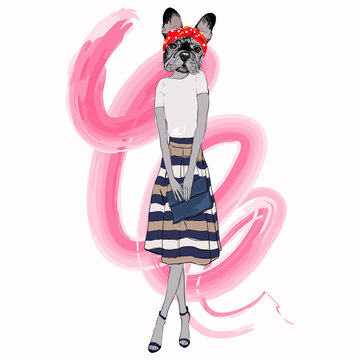 French bulldog girl dressed up in retro style, furry art illustration