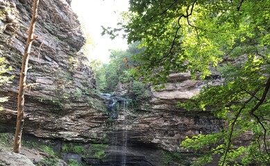waterfall in the woods