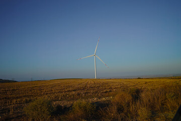 wind turbines farm