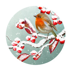 Winter Christmas background, yellow little tit birds sit on a snowy branch, snowfall, clusters of berries, evening lighting, round form