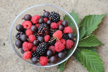 fresh berries in a bowl