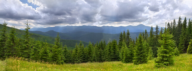 Beautiful mountain landscape, panorama, fir forest. Mountain range of Chernogor wiht the highest...