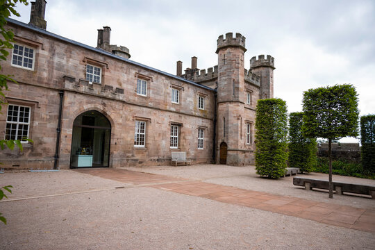 Modern Castle Courtyard With Hornbeam Trees