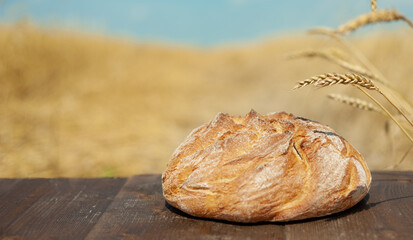 A loaf of wheat bread on a brown wooden table framed by wheat ears against a golden wheat field and a blue sky in a blur. Copy space. Banner.