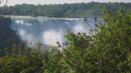 Niagara and the forest