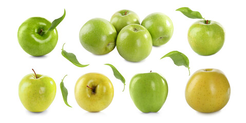 Set of different ripe apples isolated on white. Banner design