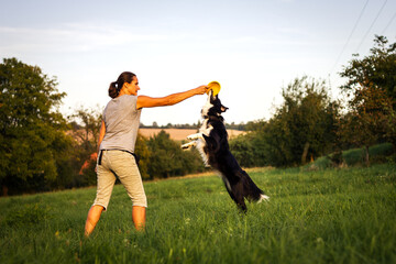 Border collie jumping for plastic disk. Woman playing with her dog outdoors