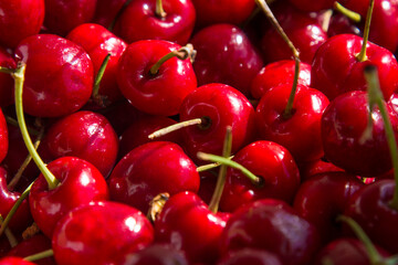 box of ripe red cherries