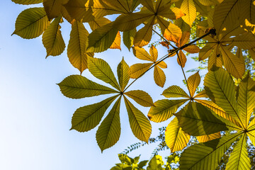 Allphotokz Gorkiypark 20191026 4603 D810 S