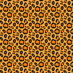 Leopard Pattern