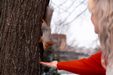 Senior Woman Feeding Squirrel In Park After Morning Exercising And Run. Active Lifestyle in Middle Age.