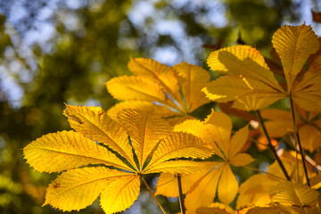 Allphotokz Gorkiypark 20191026 4621 D810 S