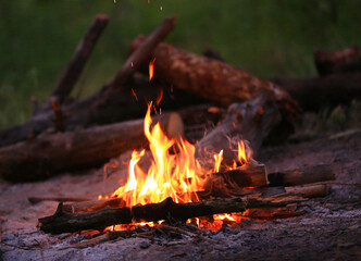 flame of burning wood