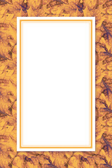 frame on seamless pattern background with autumn leaves in yellow, brown and purple
