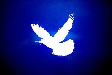 White peace dove (dark blue background)