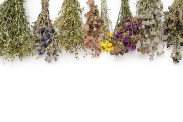 Row of medicinal herbs bunches on white background. Top view, flat lay. Alternative medicine. Copy...