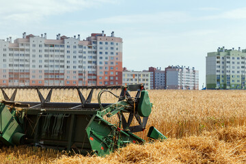 The combine harvests ripe wheat in the grain field.