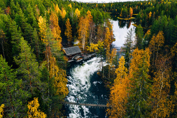 Aerial view of fast and wooden cabin in beautiful orange and red autumn forest. Oulanka National Park, Finland.